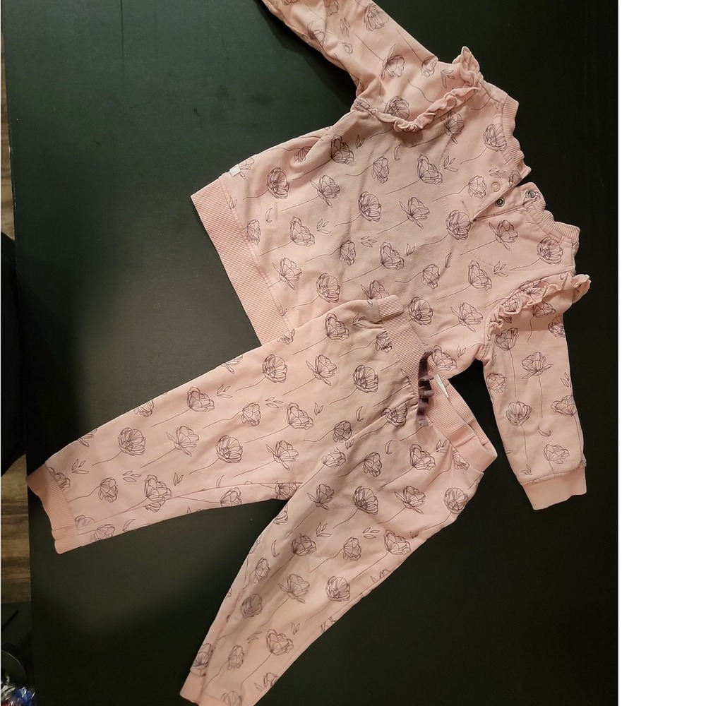 RuffleButts Pink Floral Ruffle Sweatshirt and Jogger Set 18-24M